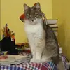 Отзыв от Наталия Латышева